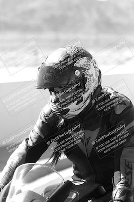 media/Mar-08-2025-TrackXperience (Sat) [[277b597a28]]/1-Around the Pits - Pre Grid/
